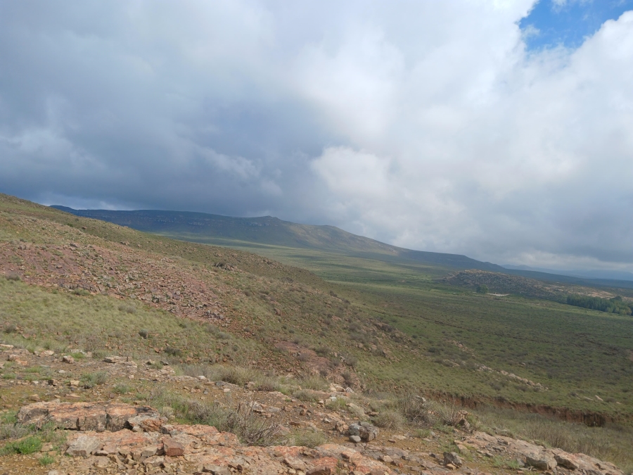 0 Bedroom Property for Sale in Richmond Rural Northern Cape